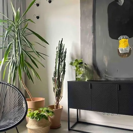Apartament Pilsudski
